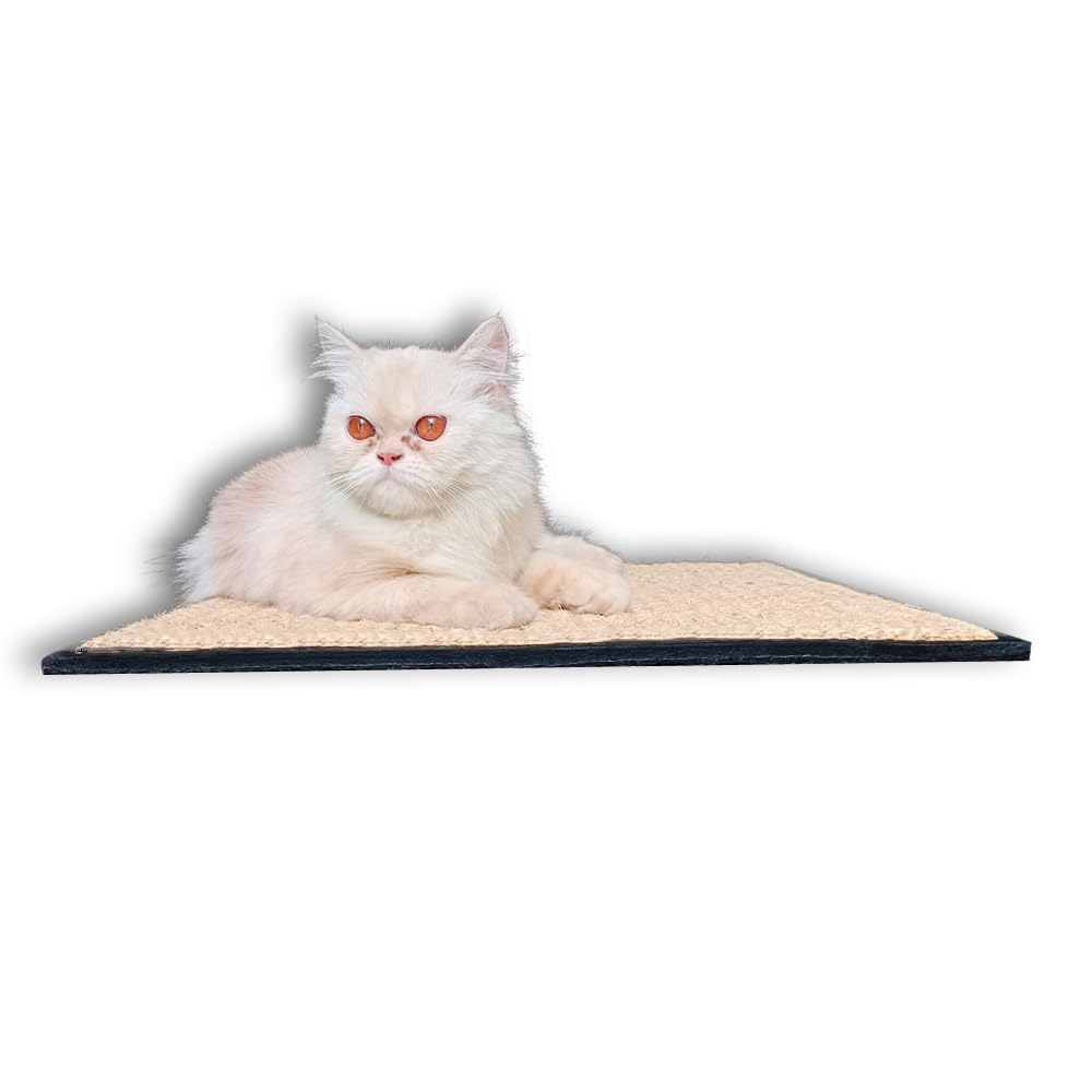 Cat Scratcher Mat