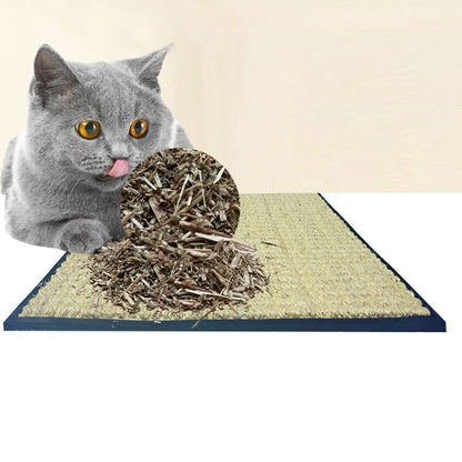 Cat Scratcher Mat