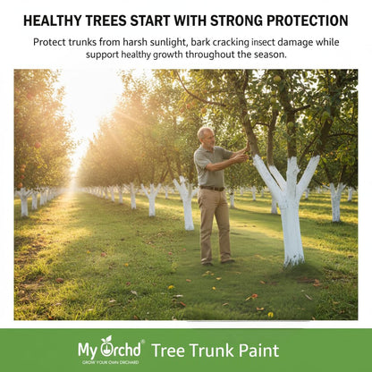 Tree Trunk Paint