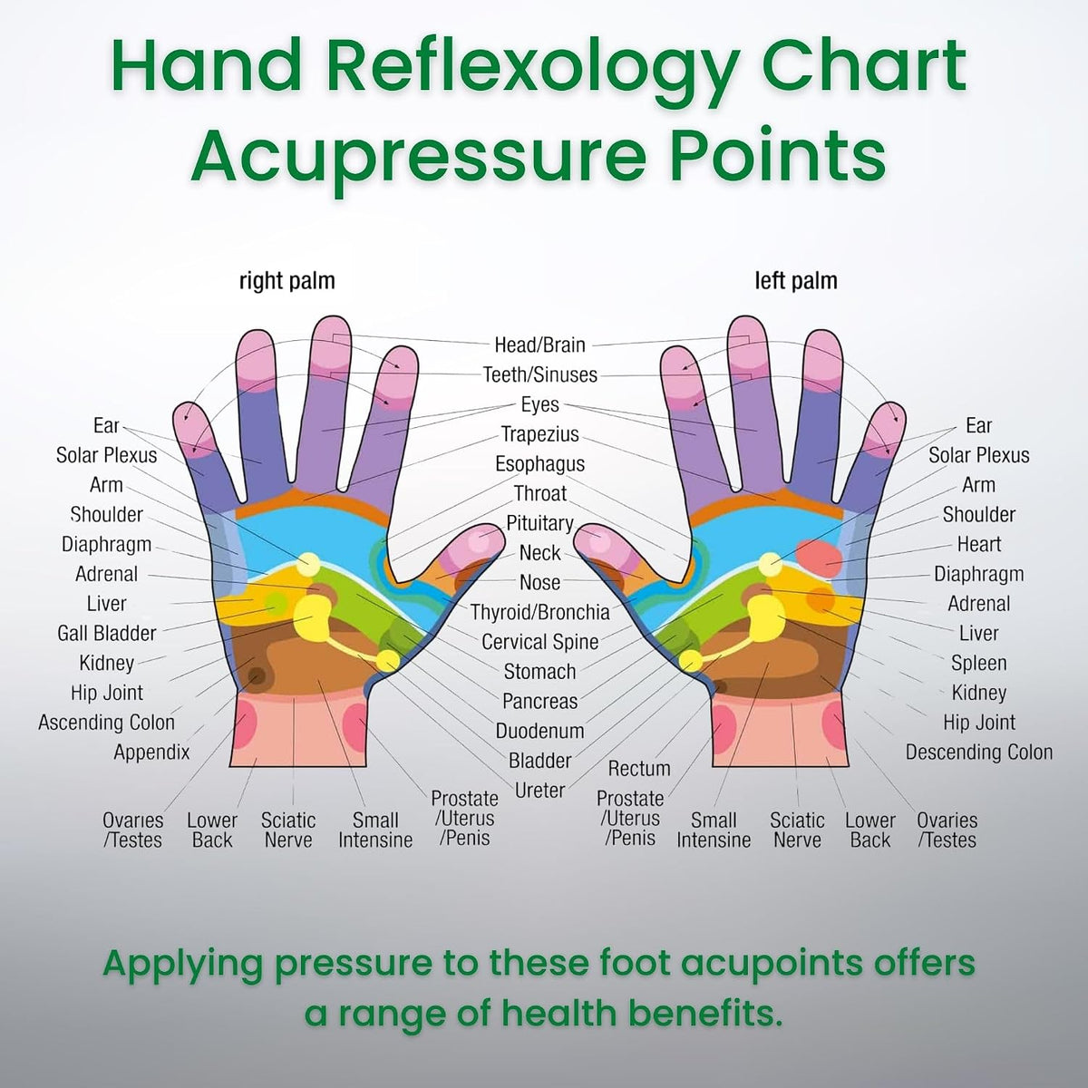 Portable Acupressure Relaxation Stress Alleviation